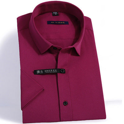 Men’s Short Sleeve Formal Shirt